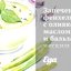 Запеченный фенхель с оливковым маслом и бальзамическим уксусом