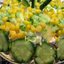 Салат из курицы с ананасом и огурцом