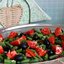 Острый салат с помидорами и стручковой фасолью