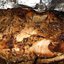 Мясо печеное