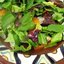 Теплый салат из куриной печени и тыквы