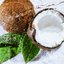 Все, что вам нужно знать о кокосовом молоке и кокосовой воде