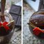 Конфитюр из баклажанов с имбирем и шоколадом