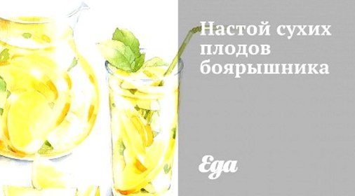 Настой сухих плодов боярышника