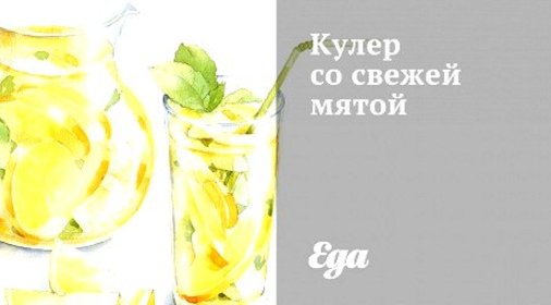 Кулер со свежей мятой