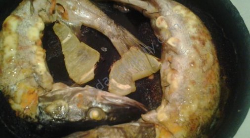 Фаршированная морковью щука