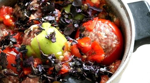 Толма летняя