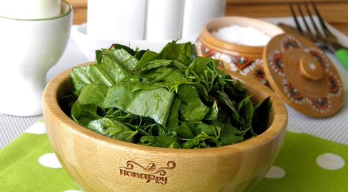 Салат из щавеля