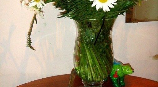 Салат со скумбрией горячего копчения