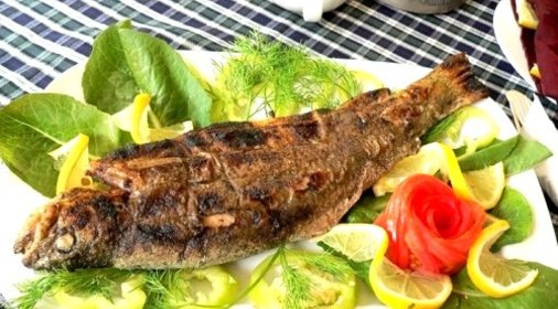 Форель севанская